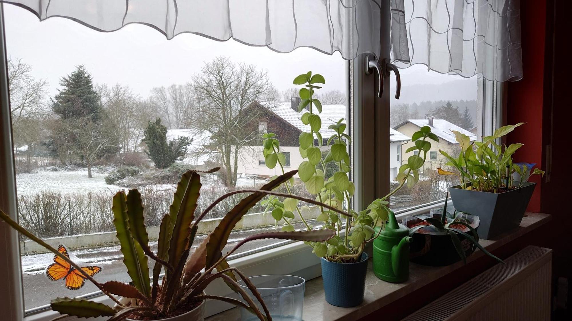 Ferienwohnung Rackl Furth im Wald Luaran gambar